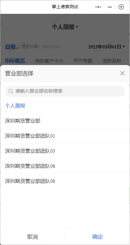 描述